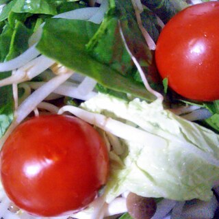白菜ほうれん草もやしミニトマトのサラダ